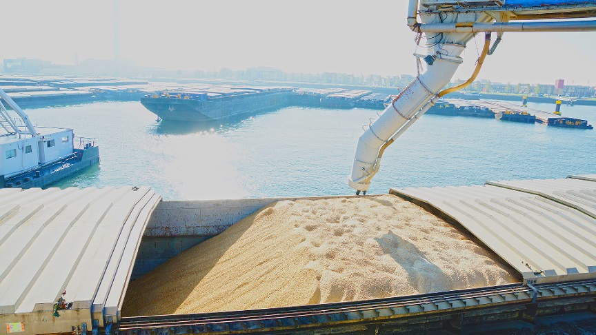 grain export Ukraine in barges via Danube